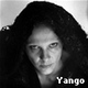 yango