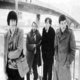 Murex