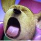 animal_sergei