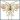 copepodo