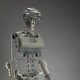 Borg