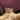 molly_2003
