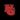 dark_tairon