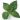 Menta