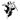 torsomatic