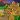 Camila_Spicke