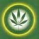 legalizacion