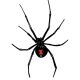 blackwidow