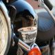 triumph