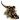 salamandra