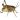 Little.Grasshopper