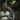 Blacksad