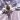 Petit_Blaireau