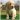 Maria_Jose_Corcoles_Garc