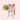 xmpp