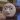 geygey