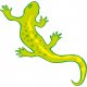 uhandrea