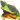 pitxon_net