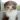 Havier_Av
