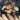 Belthanne