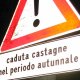 asfaltopo