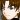 satoshi_namura