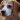Ufinder
