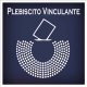 PlebiscitoVinculante