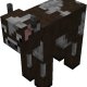 pcow