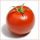 ernesto.tomate
