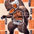 Anatomía de monstruos populares de Japón