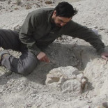 Logran extraer el ADN de un animal extinto hace 12 mil años Logran extraer el ADN de un animal extinto hace 12 mil años