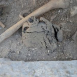 Hallada una necrópolis prehistórica en los Monegros, en el yacimiento de Sena Hallada una necrópolis prehistórica en los Monegros, en el yacimiento de Sena