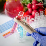 Los test masivos de intolerancia alimentaria son una estafa Los test masivos de intolerancia alimentaria son una estafa