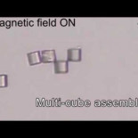Microbot de origami captura y transporta células individuales (ING) Microbot de origami captura y transporta células individuales (ING)