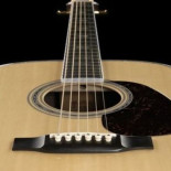 Palisandro: el árbol para hacer guitarras que se está extinguiendo Palisandro: el árbol para hacer guitarras que se está extinguiendo