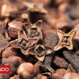 Cómo la primera multinacional del mundo perdió su monopolio por un solo árbol de clavo de olor Cómo la primera multinacional del mundo perdió su monopolio por un solo árbol de clavo de olor