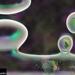 Las neuronas comparten información genética encapsulada en forma de virus Las neuronas comparten información genética encapsulada en forma de virus
