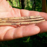 Instrumento musical de los hunos descubierto en Rusia aún suena después de 1.700 años Instrumento musical de los hunos descubierto en Rusia aún suena después de 1.700 años