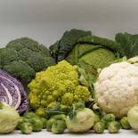 Glucosinolatos: ¿defensas vegetales o batallón contra el cáncer?