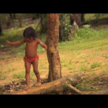 La teoría del implexo: el gran árbol genealógico de la humanidad La teoría del implexo: el gran árbol genealógico de la humanidad