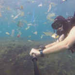 El buzo británico Rich Horner, residente en Indonesia, nadó a través de un chocante mar de basura con el objetivo de dem El buzo británico Rich Horner, residente en Indonesia, nadó a través de un chocante mar de basura con el objetivo de dem