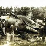 Vete a ver la ballena Vete a ver la ballena