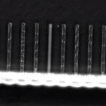 Vídeo de mutaciones de ADN en tiempo real permite medir sus efectos (ING) Vídeo de mutaciones de ADN en tiempo real permite medir sus efectos (ING)
