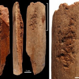 Sofisticadas herramientas de hueso de 115.000 años aparecen en China Sofisticadas herramientas de hueso de 115.000 años aparecen en China