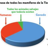 El brutal impacto del ser humano sobre la Tierra, resumido en un gráfico esclarecedor El brutal impacto del ser humano sobre la Tierra, resumido en un gráfico esclarecedor