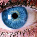 El triunfo del semen estadounidense de piel blanca y ojos azules en Brasil