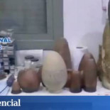 Un estudiante francés que preparaba su tesis cazó a los traficantes de obras del Daesh