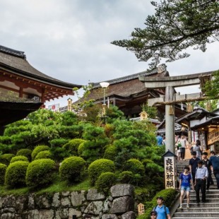 Paseos y rutas a pie por Japón