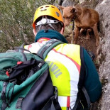 La Guardia Civil salva a una perra en un barranco de la Foz de Lumbier